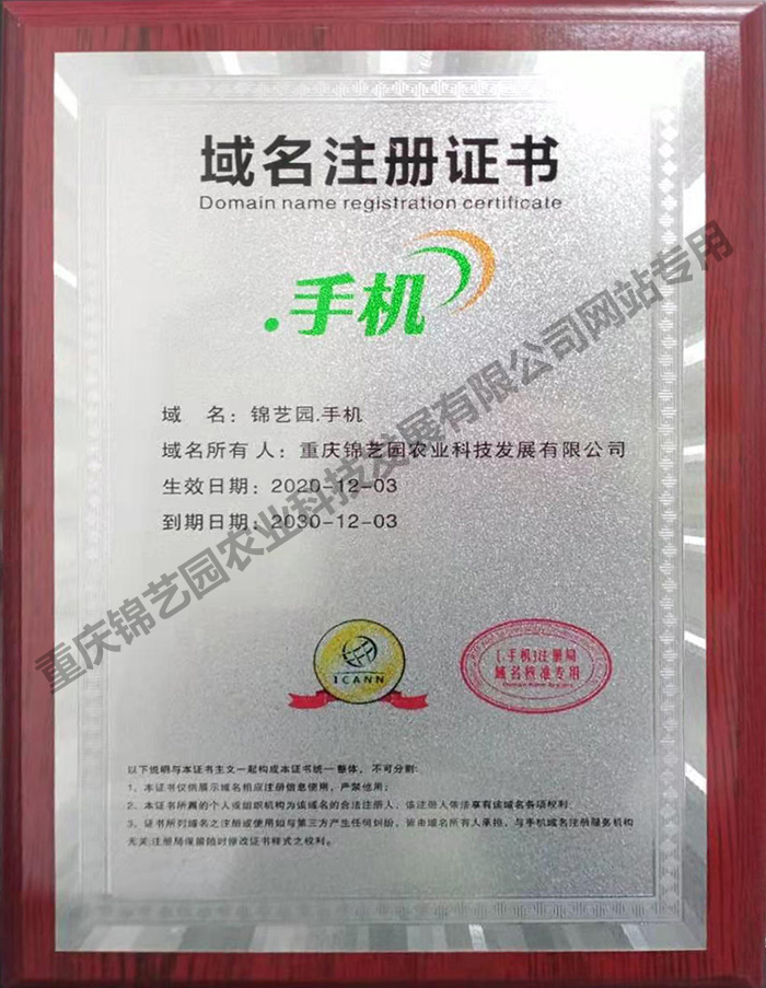 域名注冊(cè)證書